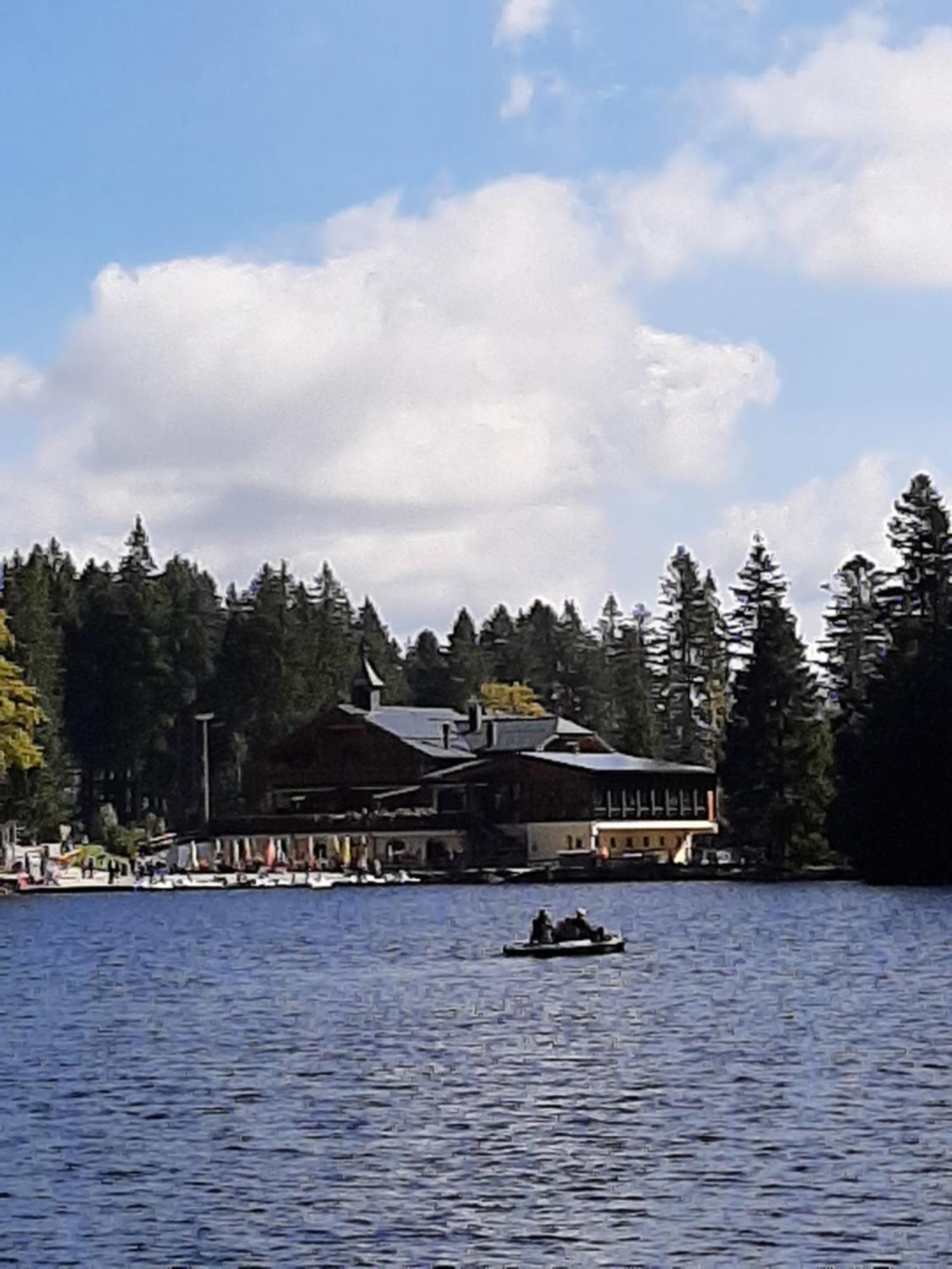 Fewo Fink Regen Exterior photo